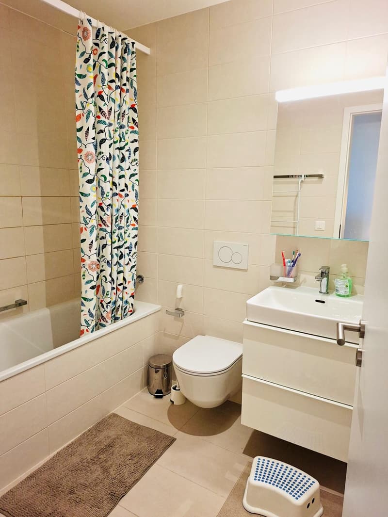 Beautiful furnished 3.5-room apartment with balcony (7)