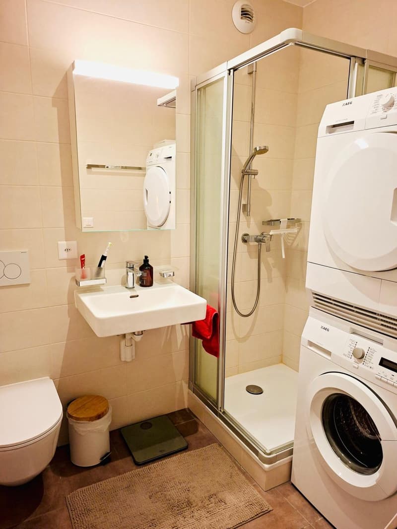 Beautiful furnished 3.5-room apartment with balcony (8)