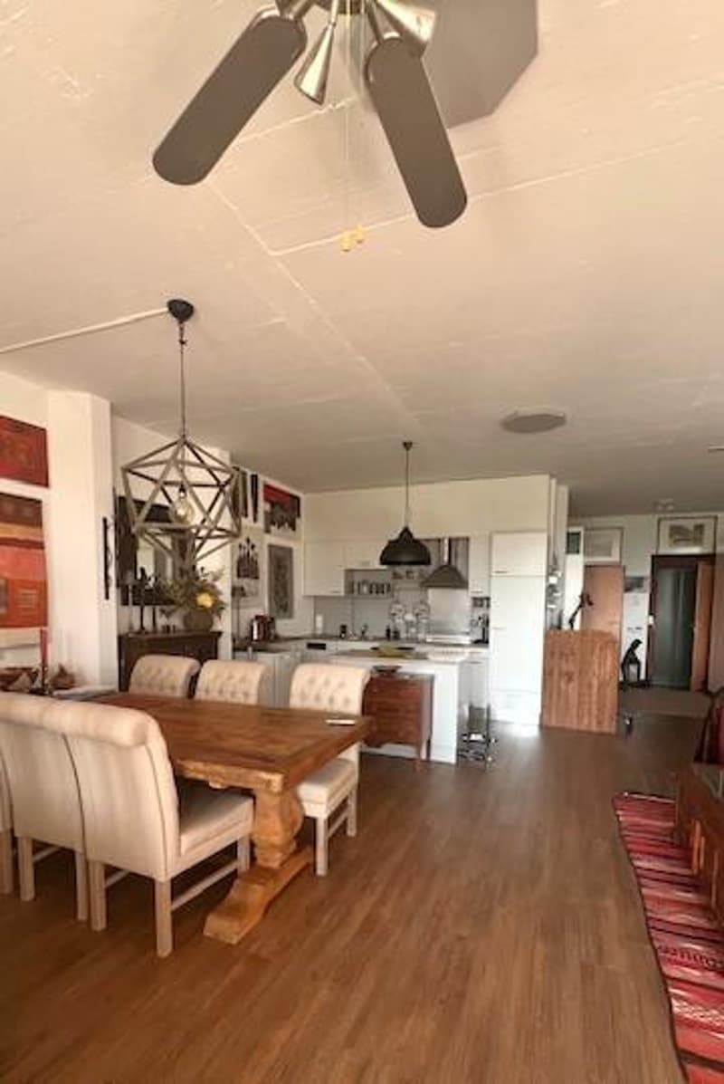 Prächtiges Loft mit freier Sicht (4)