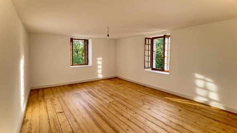 Magnifique propriété de 6,5 pièces dans un corps de ferme avec grand jardin privatif (12)