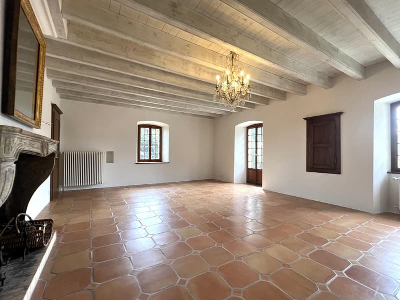 Magnifique appartement de 6.5 pièces dans maison de village, accès grand jardin privatif (6)