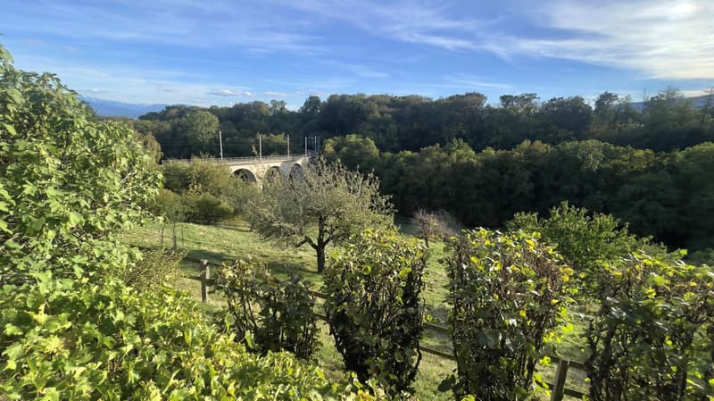 Magnifique propriété de 6,5 pièces dans un corps de ferme avec grand jardin privatif (6)