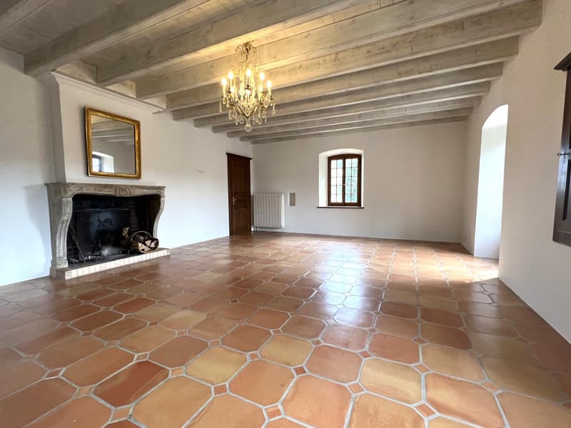 Magnifique appartement de 6.5 pièces dans maison de village, accès grand jardin privatif (5)