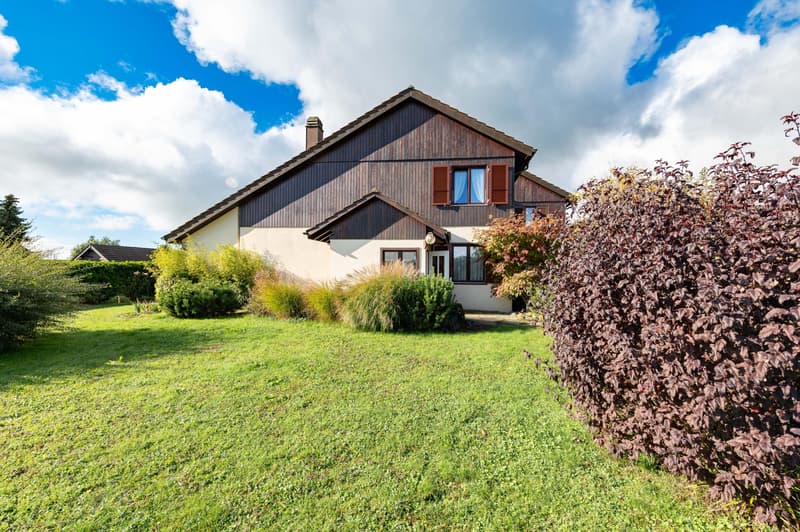 Villa jumelle de 5.5 pièces, jardin joliment aménagé (2)