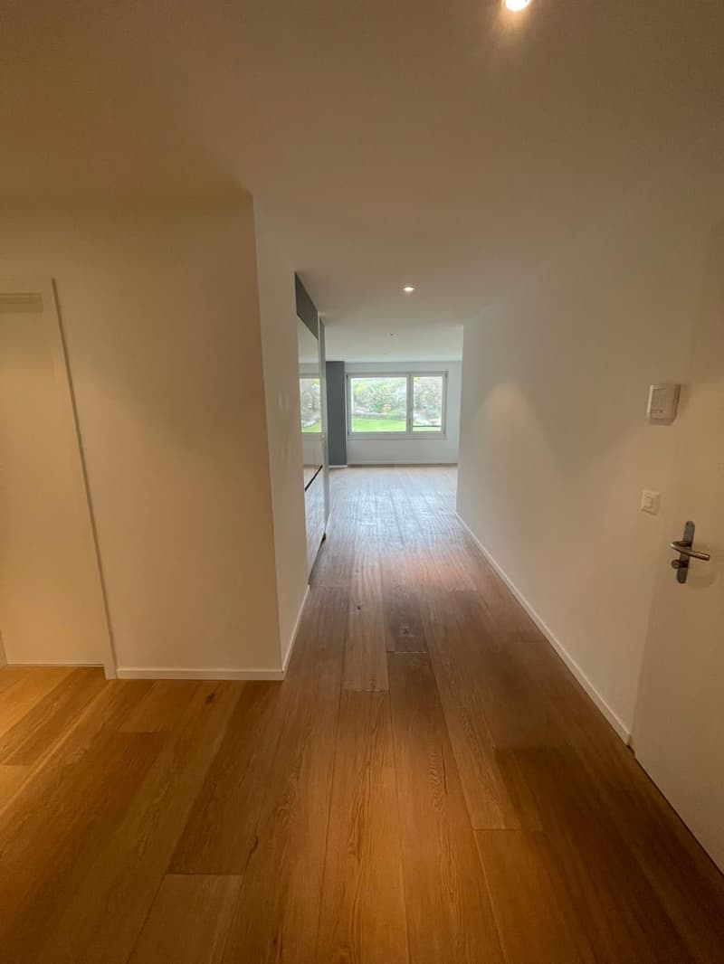 Magnifique appartement avec terrasse (3)