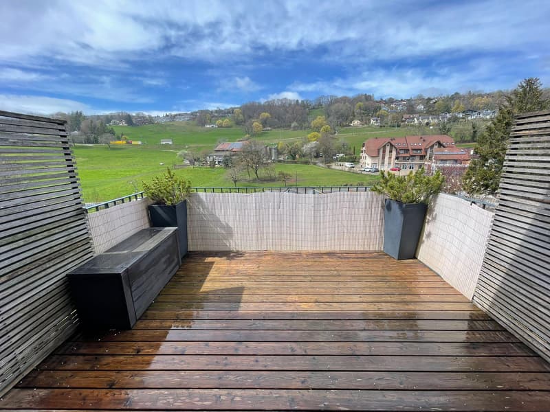 Magnifique appartement avec terrasse (6)