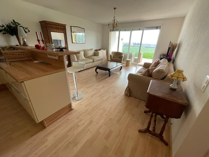 Bel appartement de 2.5 pièces avec terrasse et jardin (3)