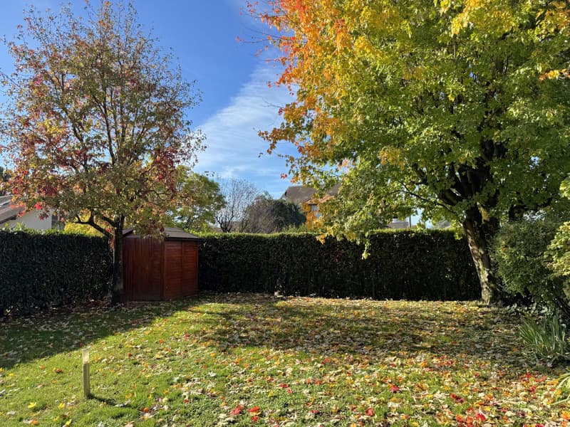 Charmante villa jumelle de 5.5 pièces (2)