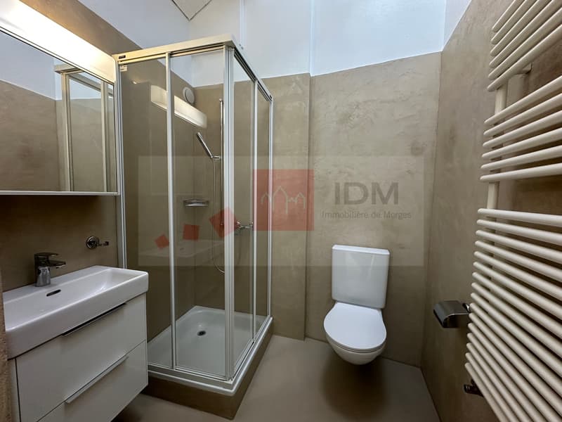 Loft apartment for rent in the city center of Morges (7)