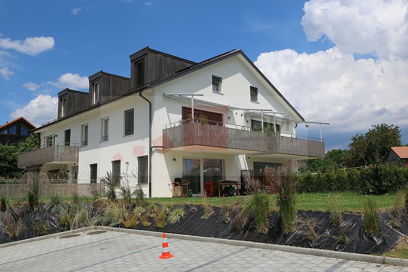 Bel appartement en duplex à Chavannes-le-Veyron (1)