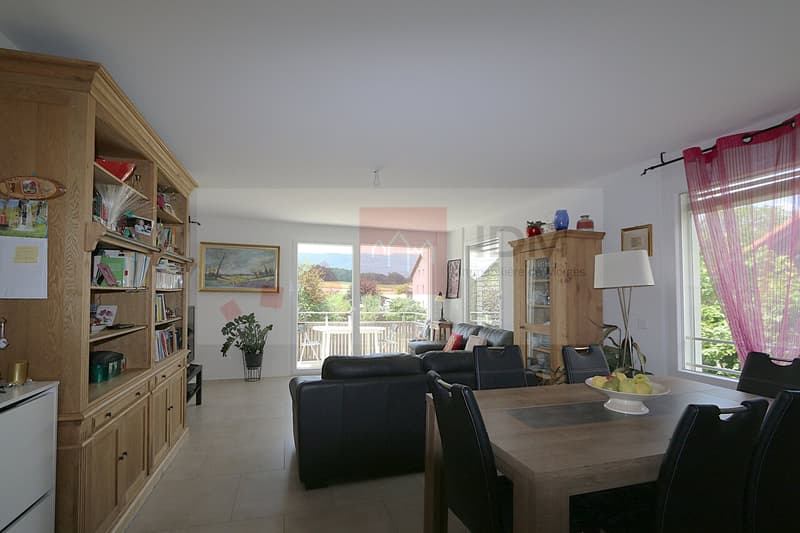 Bel appartement en duplex à Chavannes-le-Veyron (6)