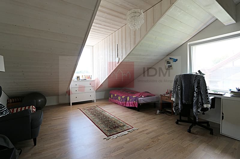 Bel appartement en duplex à Chavannes-le-Veyron (2)