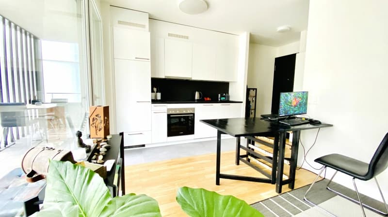 Studio in the heart of Prilly (2)