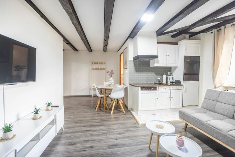 Hotel opportunity in the heart of the watchmaking capital (4)