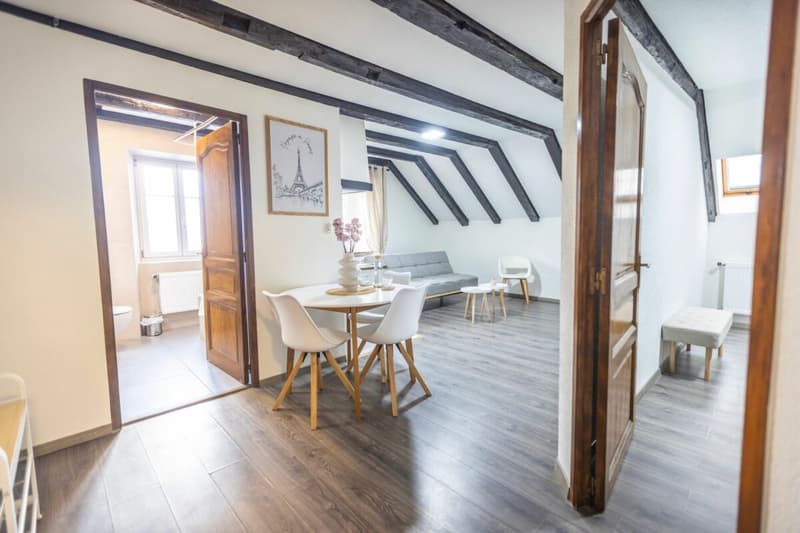 Hotel opportunity in the heart of the watchmaking capital (12)