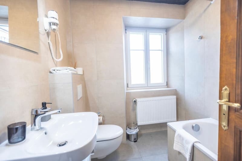 Hotel opportunity in the heart of the watchmaking capital (8)