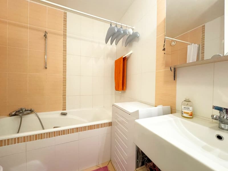 Beautiful 3-room renovated apartment (6)