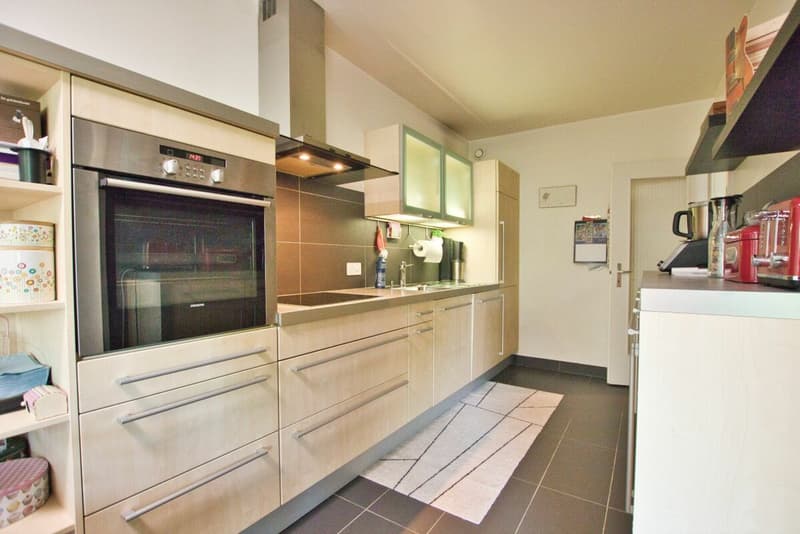 Beautiful 3-room renovated apartment (4)
