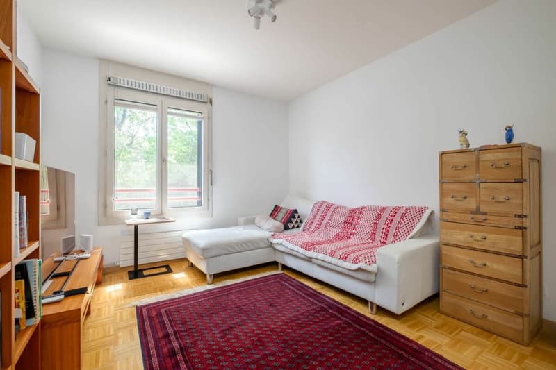 Beautiful Attic in Duplex (5)