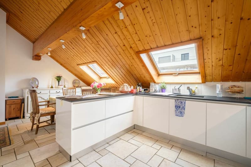 Beautiful Attic in Duplex (3)