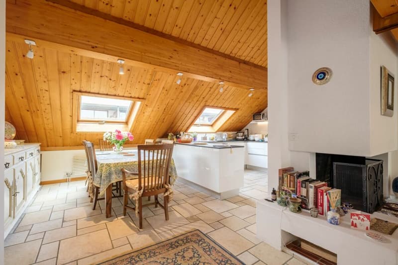 Beautiful Attic in Duplex (4)
