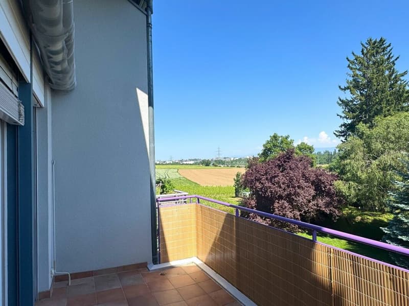 Beautiful attic triplex in Satigny (4)