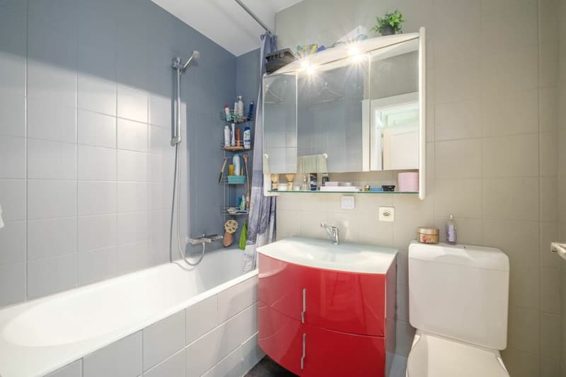 Bel attique en duplex avec magnifique vue - au calme (11)
