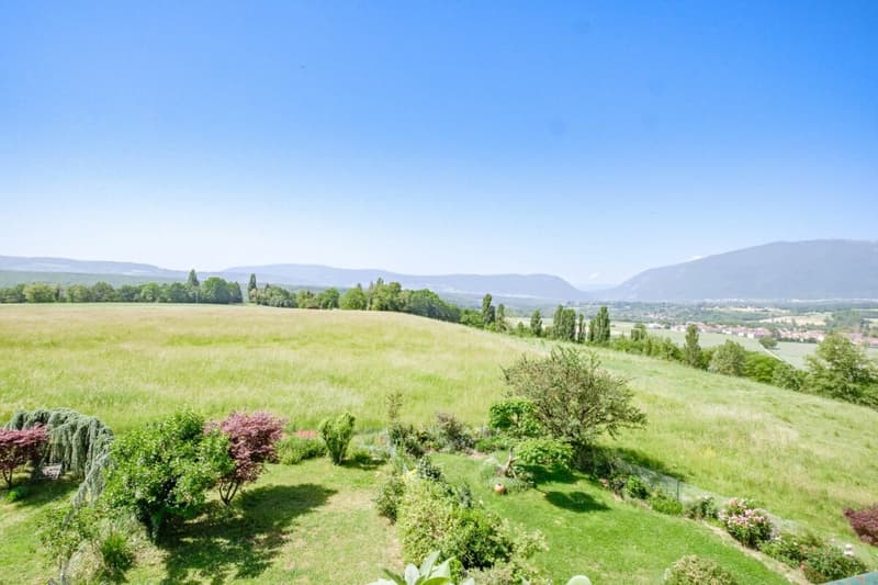 Bel attique en duplex avec magnifique vue - au calme (3)