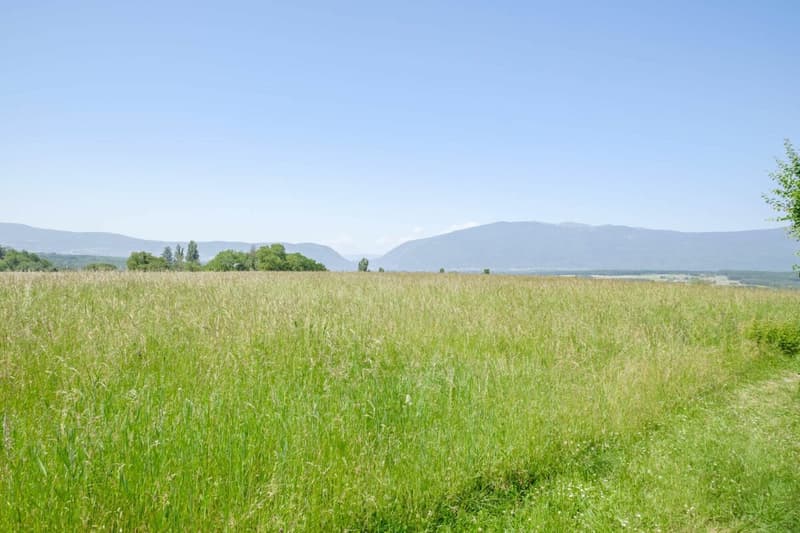 Schönes Dachgeschoß in ruhiger Lage mit Aussicht (12)
