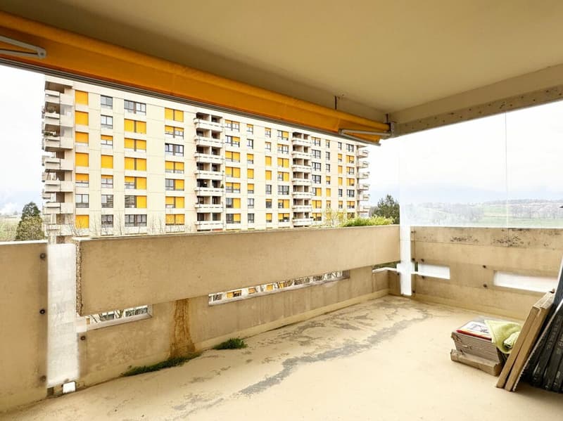 Wohnung 6 Zimmer renoviert in Meyrin (4)