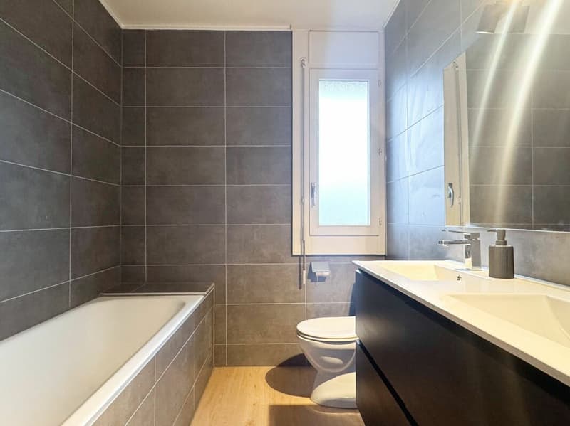 Wohnung 6 Zimmer renoviert in Meyrin (9)