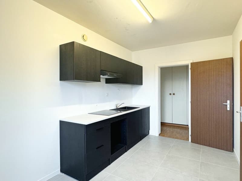 Wohnung 6 Zimmer renoviert in Meyrin (7)