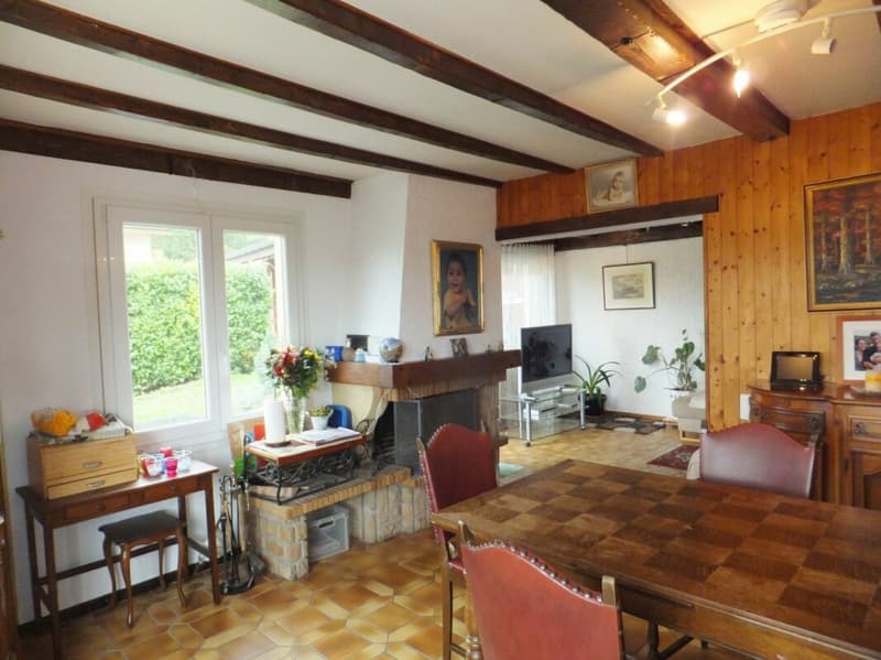 Haus mit 7 Zimmern in Genf - Ausnahmeprice (3)