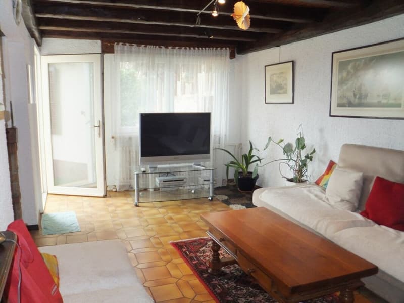 Haus mit 7 Zimmern in Genf - Ausnahmeprice (4)