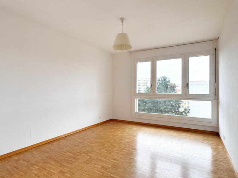 Appartamento 6 locali ristrutturato a Meyrin (6)