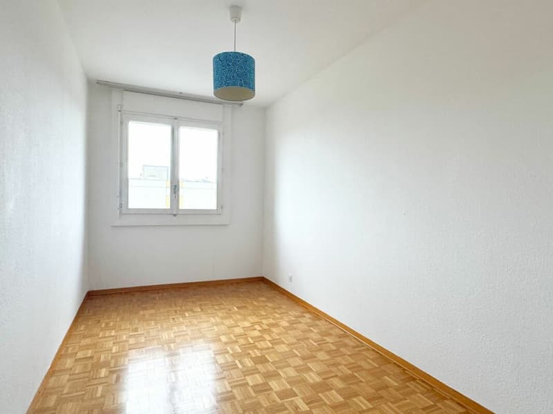Appartamento 6 locali ristrutturato a Meyrin (9)