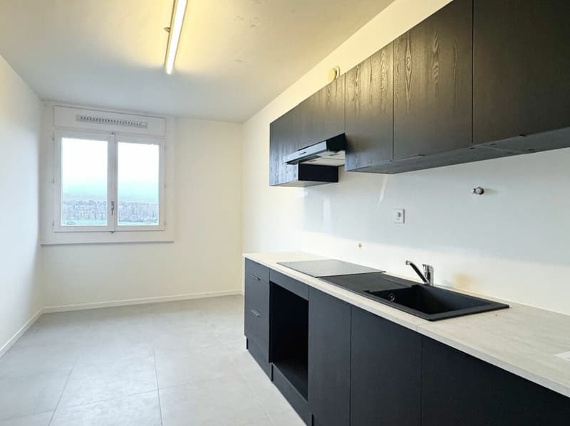 Appartamento 6 locali ristrutturato a Meyrin (5)