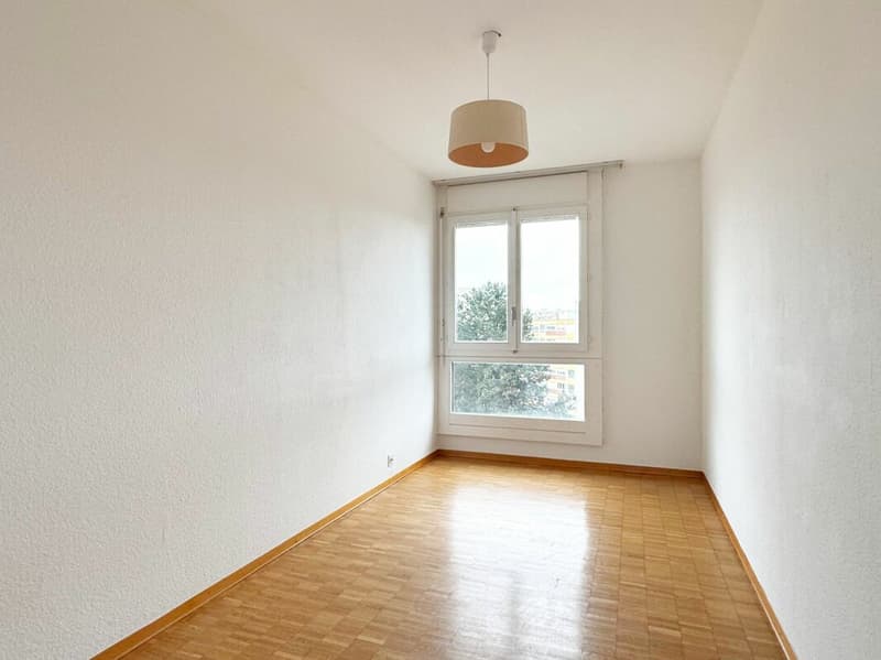 Appartamento 6 locali ristrutturato a Meyrin (11)