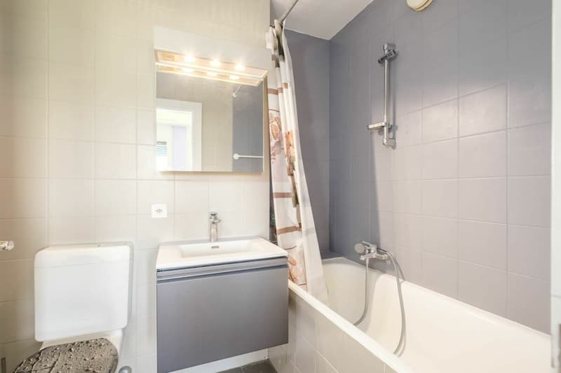 Bel appartement en attique - duplex - vue dégagée (7)