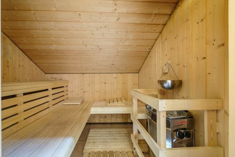 Belle Bâtisse du 16ème siècle sur parcelle de 1400 m2 (6)