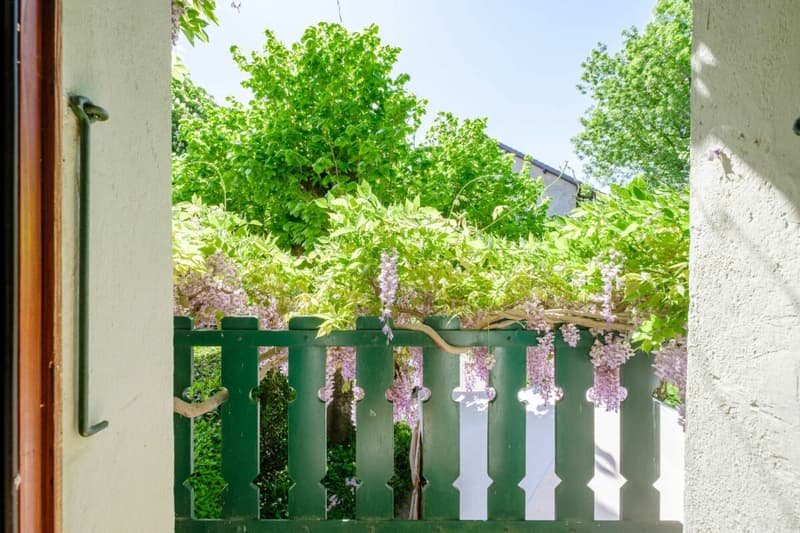 Maison de village avec cachet et grand jardin (4)