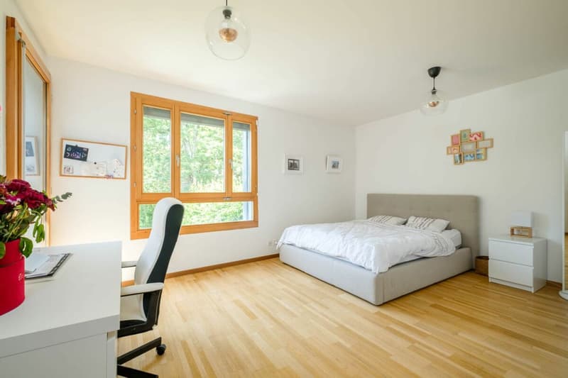Très belle maison au calme à Cartigny (8)
