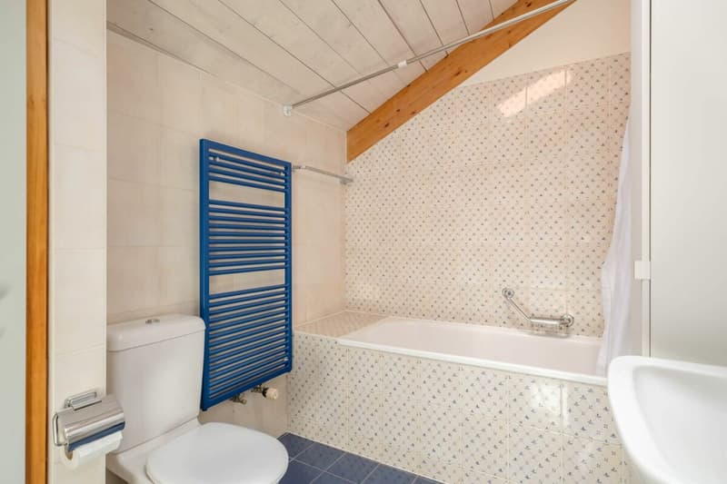 Très belle maison au calme à Cartigny (13)