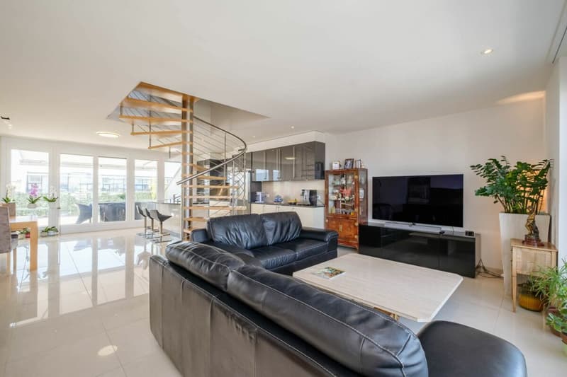 Très bel attique avec vue dégagée au Petit-Saconnex (4)