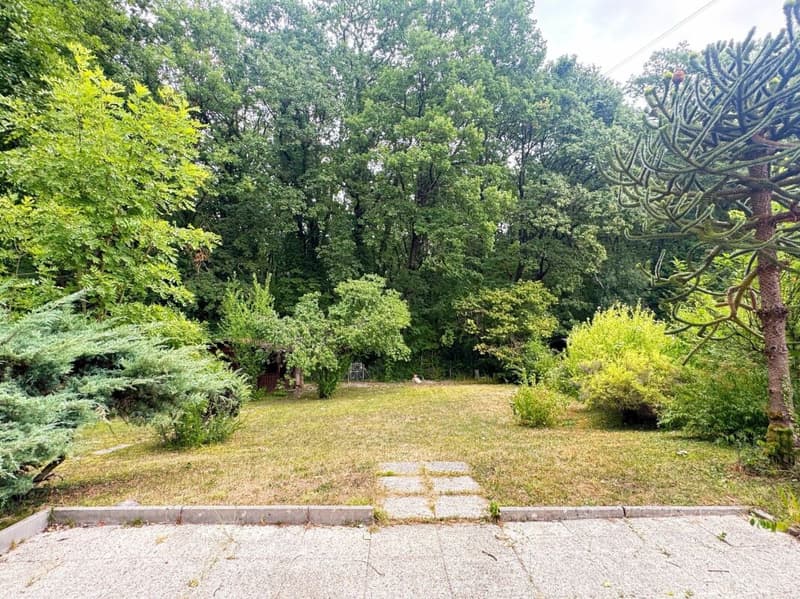 Maison mitoyenne de deux logements à Chambésy (4)