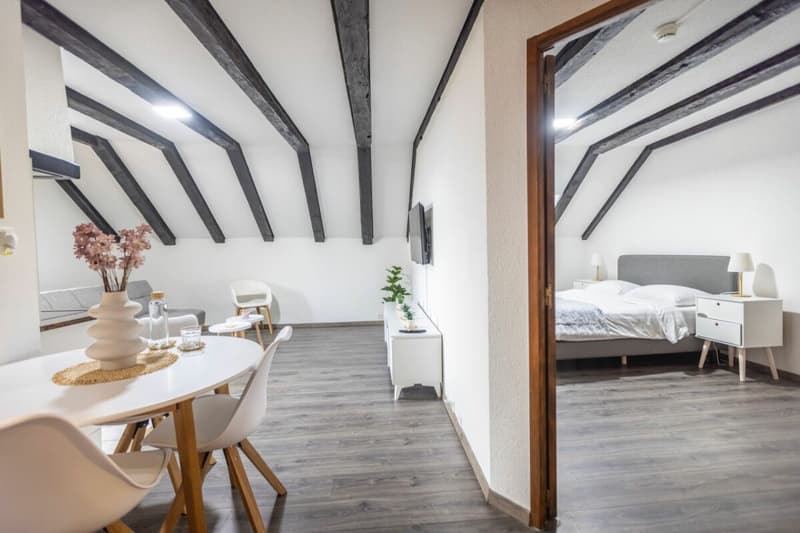 Opportunité hôtelière au coeur de la capitale horlogère (10)