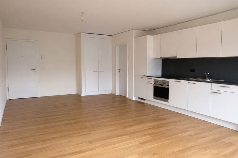 Appartement 2.5 pièces lumineux - résidence récente (2020) - Crissier (2)