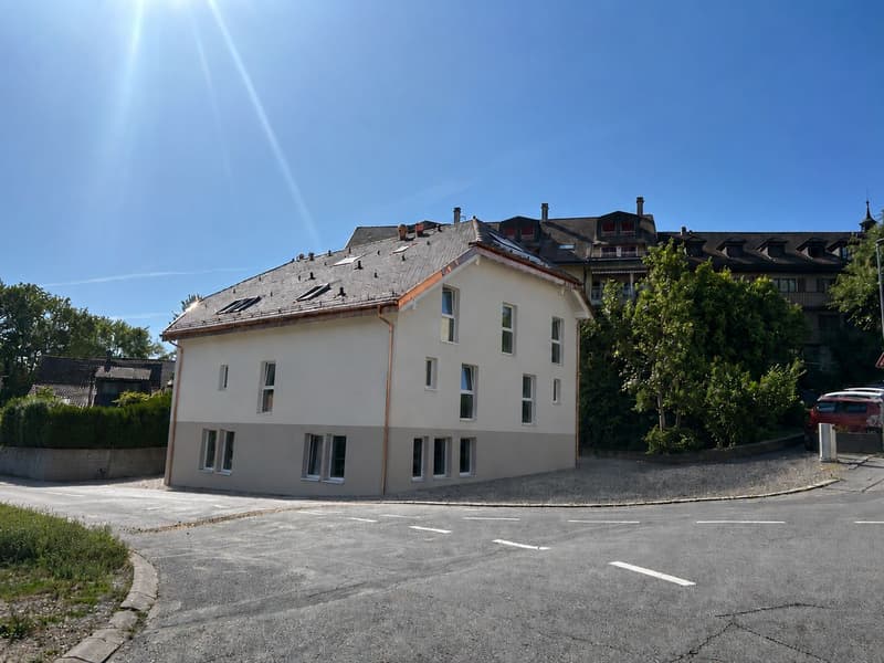 Apartment with 3.5 rooms in the attic - New (2)