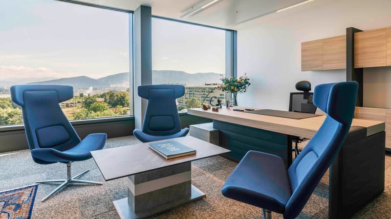 Spacious office with large windows offering a scenic view of the city and mountains. The room features a modern desk with a laptop, a vase of flowers, and several comfortable blue leather chairs. The office also has built-in wooden cabinets and shelves al
