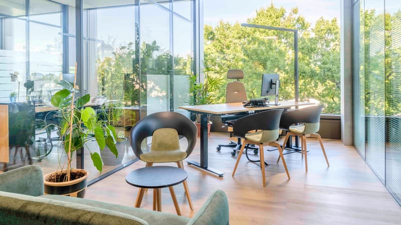 This image shows a modern, open-concept office space with large windows overlooking a lush, green outdoor area. The office features a wooden desk with a computer setup, comfortable office chairs, and a couch. There are also several potted plants throughou